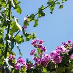Giardino Διαμέρισμα *