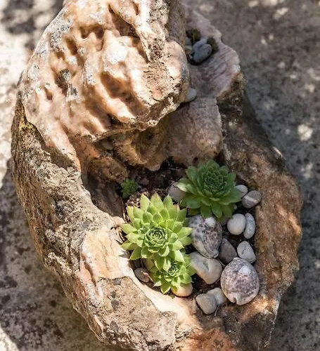 아파트 Giardino *