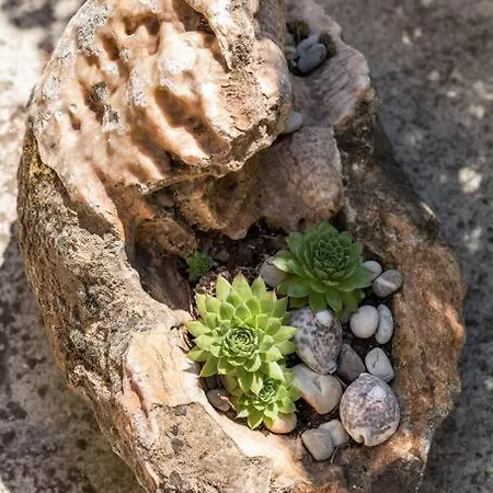 Lejlighed Giardino *